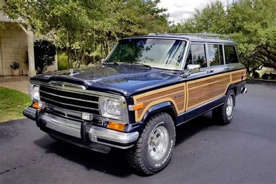 FITS 82-90 GRAND WAGONEER CHEROKEE DRIVER FRONT OR REAR WINDOW REGULATOR TAPE0