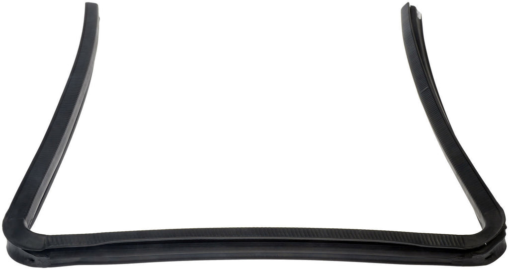 FITS 2002-2018 INTERNATIONAL LEFT OR RIGHT DOOR WINDOW GLASS CHANNEL SEAL2