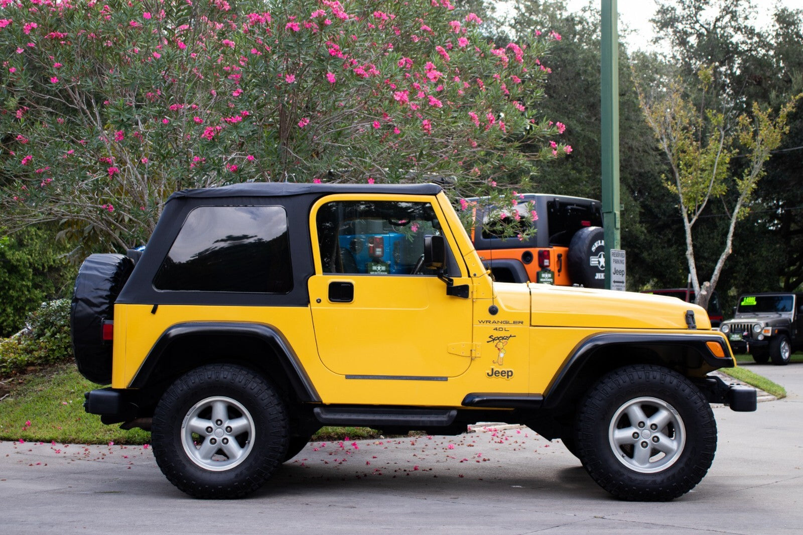 FITS 1998-2000 WRANGLER WITH CRUISE CONTROL CLOCK SPRING0