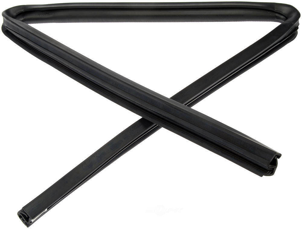 FITS 2002-2018 INTERNATIONAL LEFT OR RIGHT DOOR WINDOW GLASS CHANNEL SEAL0