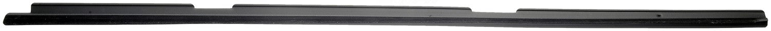 FITS 1993-2002 FIREBIRD CAMARO DRIVER FRONT DOOR INNER WINDOW SEAL SWEEP1